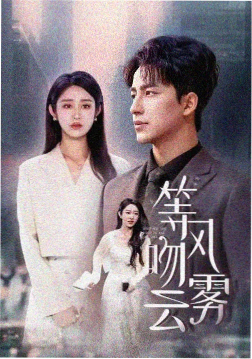 葫芦影院剧集贴纸长夜档案